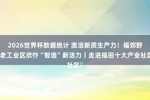 2026世界杯数据统计 激活新质生产力!福郊野岭老工业区欣忭“智造”新活力|走进福田十大产业社区⑫