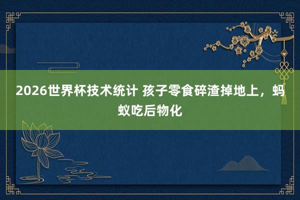2026世界杯技术统计 孩子零食碎渣掉地上,蚂蚁吃后物化