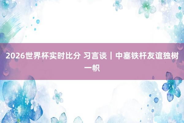 2026世界杯实时比分 习言谈｜中塞铁杆友谊独树一帜