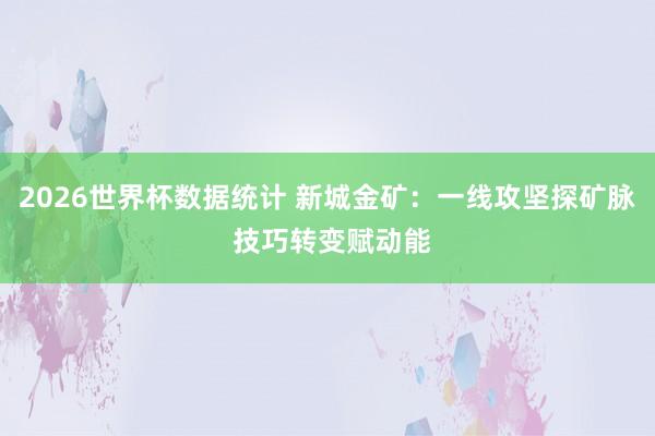 2026世界杯数据统计 新城金矿:一线攻坚探矿脉 技巧转变赋动能