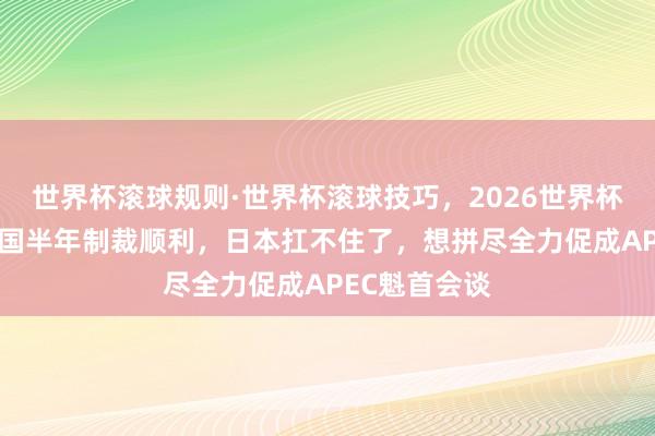 世界杯滚球规则·世界杯滚球技巧,2026世界杯文字直播 中国半年制裁顺利,日本扛不住了,想拼尽全力促成APEC魁首会谈