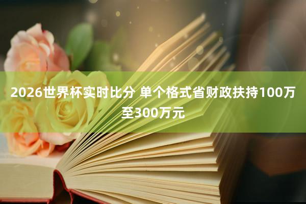 2026世界杯实时比分 单个格式省财政扶持100万至300万元