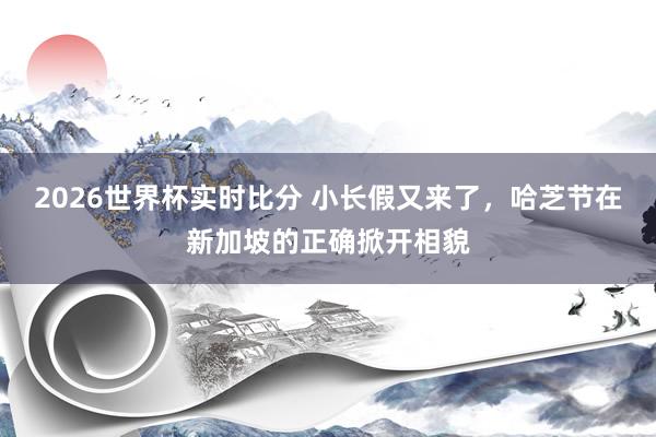 2026世界杯实时比分 小长假又来了,哈芝节在新加坡的正确掀开相貌