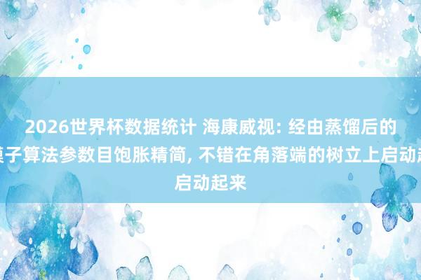 2026世界杯数据统计 海康威视: 经由蒸馏后的大模子算法参数目饱胀精简, 不错在角落端的树立上启动起来