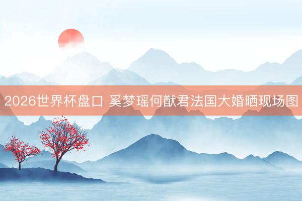 2026世界杯盘口 奚梦瑶何猷君法国大婚晒现场图