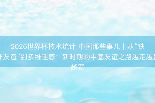 2026世界杯技术统计 中国那些事儿|从“铁杆友谊”到多维迷惑:新时期的中塞友谊之路越走越宽