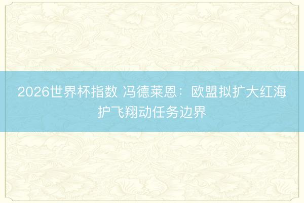 2026世界杯指数 冯德莱恩:欧盟拟扩大红海护飞翔动任务边界