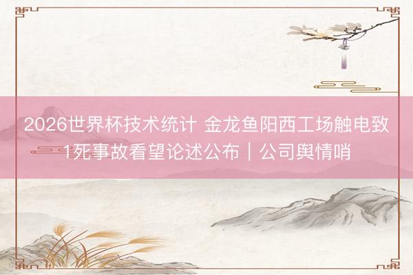 2026世界杯技术统计 金龙鱼阳西工场触电致1死事故看望论述公布|公司舆情哨